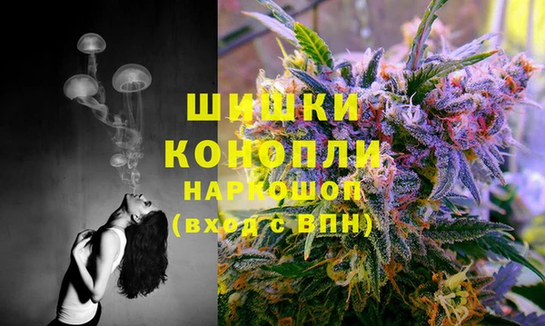 дмт Арсеньев